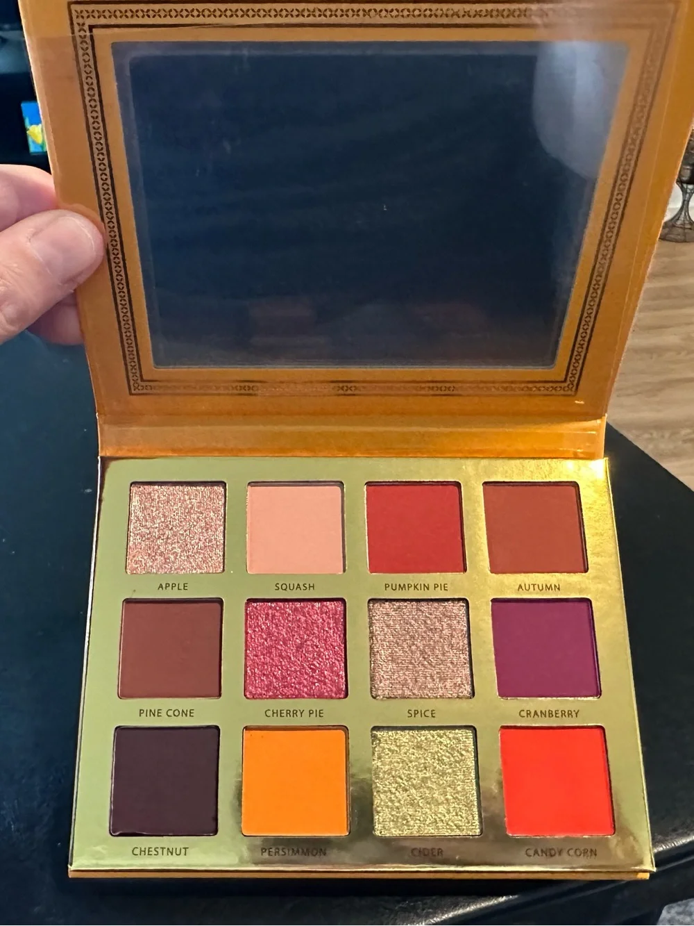Ace Beauté Falling for You Eyeshadow Palette - Warm Fall Palette NEW